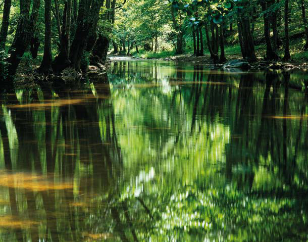 reflections_end_8